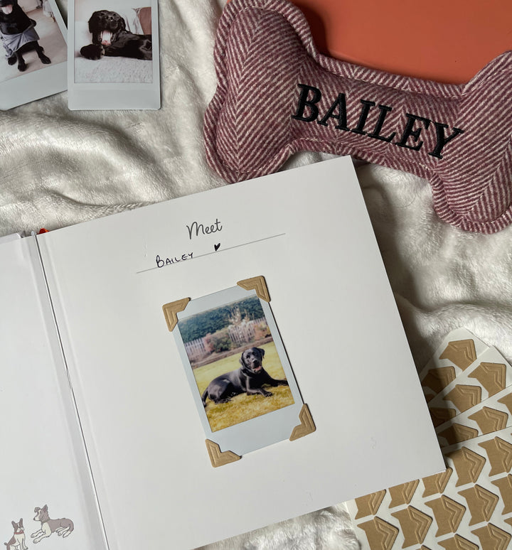 Bark Book - The Memory Album
