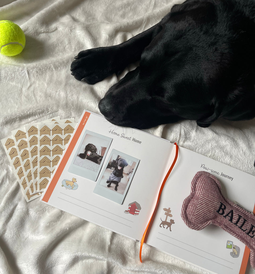 Bark Book - The Memory Album