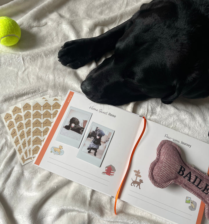 Bark Book - The Memory Album
