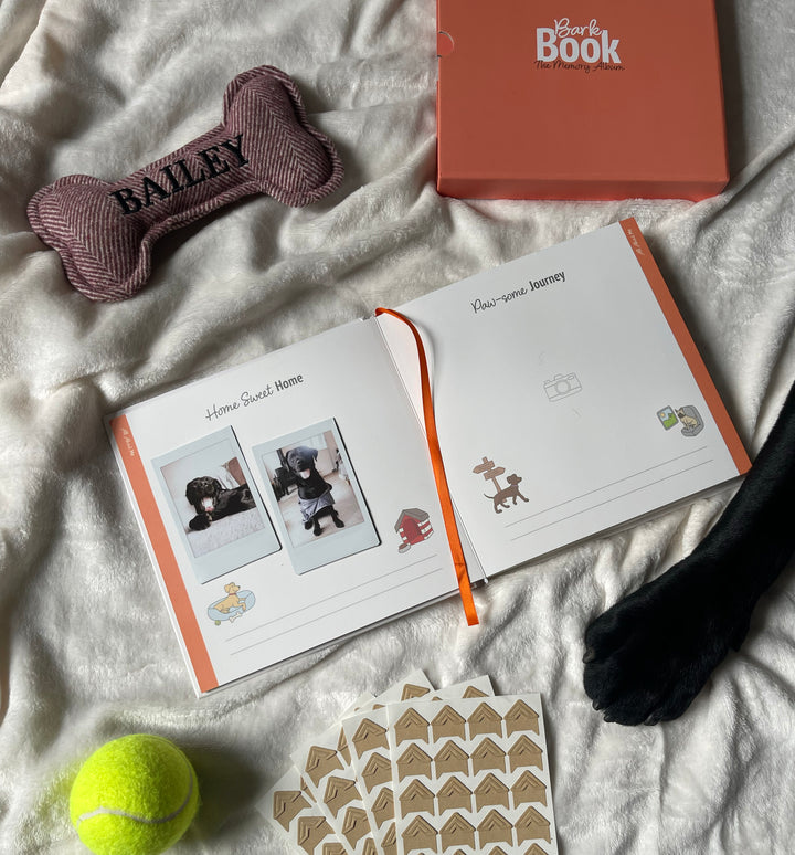 Bark Book - The Memory Album